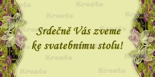 Svatební oznámení No.7 — foto 3