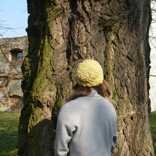 Žlutá.... — foto 3
