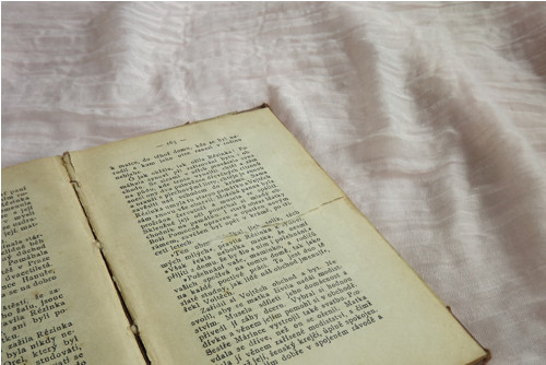 Rézinka - Vlasta Pittnerová — foto 3