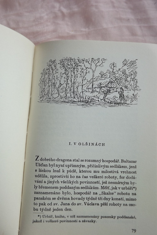 Skaláci - Alois Jirácek — foto 4