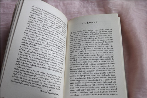 Světla - Jan Neruda — foto 3