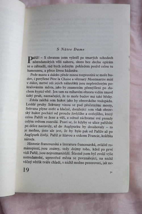 Domov a svět - Jan Neruda — foto 3