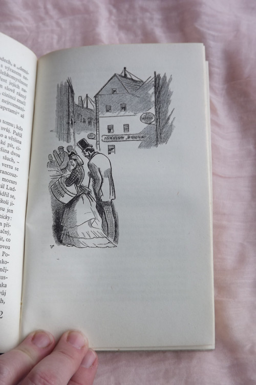 Domov a svět - Jan Neruda — foto 4
