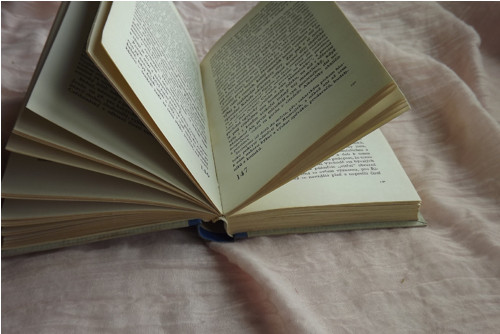 Domov a svět - Jan Neruda — foto 5