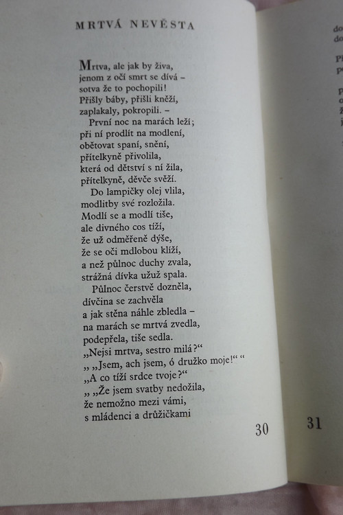 Za srdcem - Jan Neruda — foto 5
