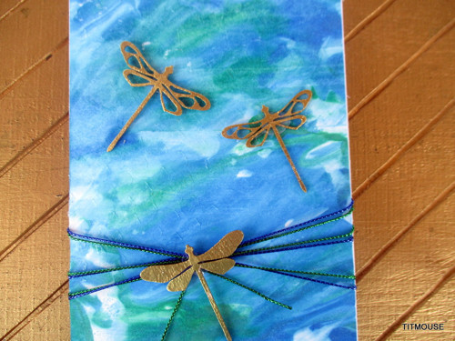 Dragonflies — foto 3
