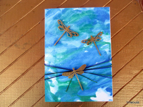 Dragonflies — foto 4