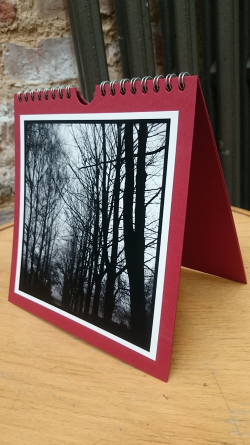 Blok stromy 2 — foto 2