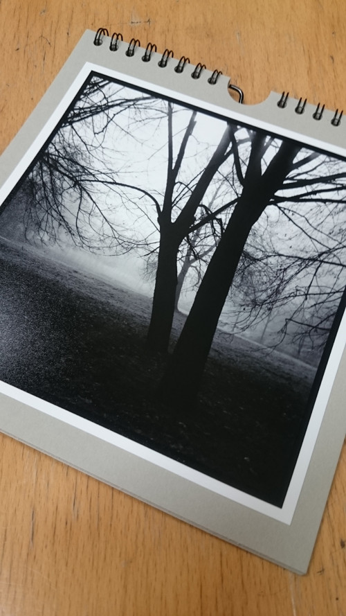 Blok stromy 1 — foto 2