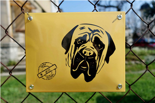 Mastiff - tady hlídám já — foto 2