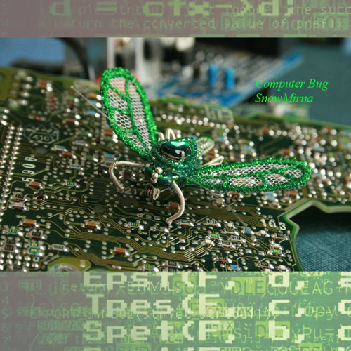 Brož - Computer Bug — foto 2