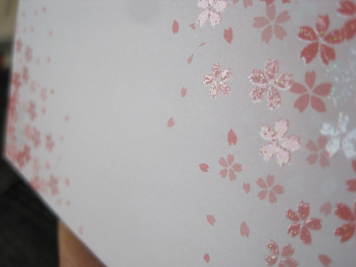 Malá obalka z Japonska Sakura 3D — foto 6