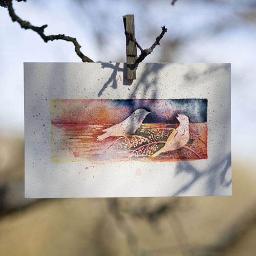 Hnízdění — foto 3