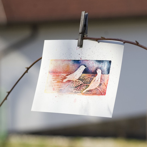 Hnízdění — foto 6