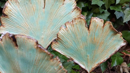 Ginko listy — foto 3