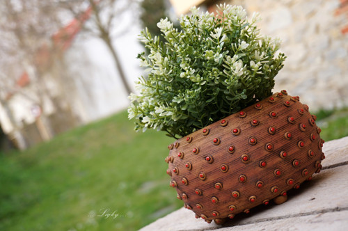 Čudlíci — foto 4