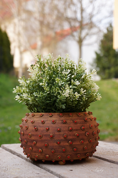 Čudlíci — foto 5
