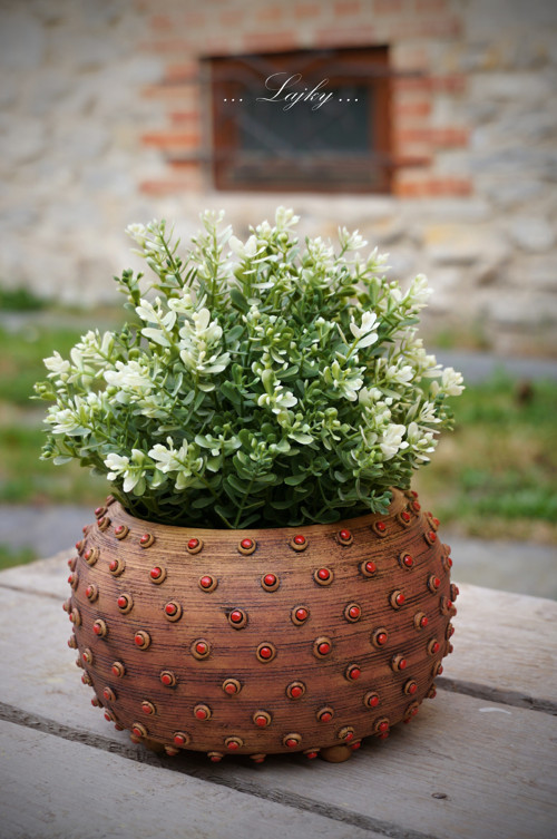 Čudlíci — foto 6