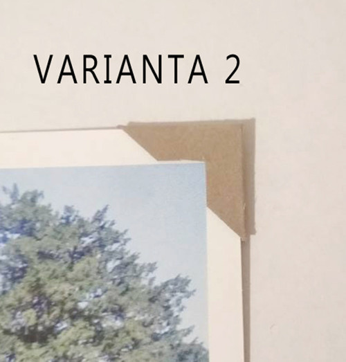 FOTOROŽKY BÍLÉ 240 ks — foto 2