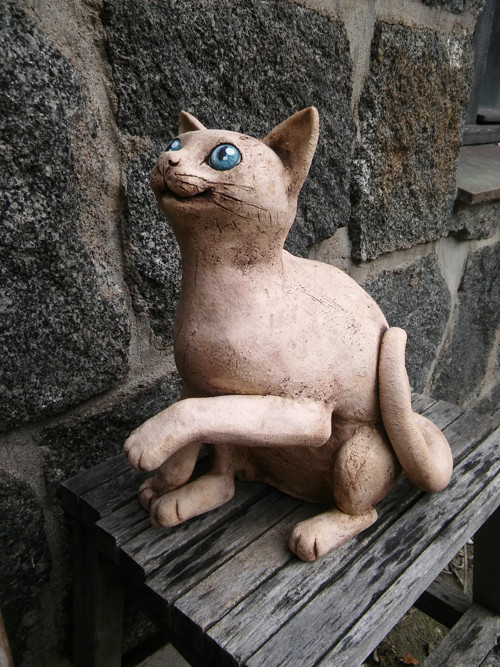 Kočka modroočka (rezervace) — foto 2