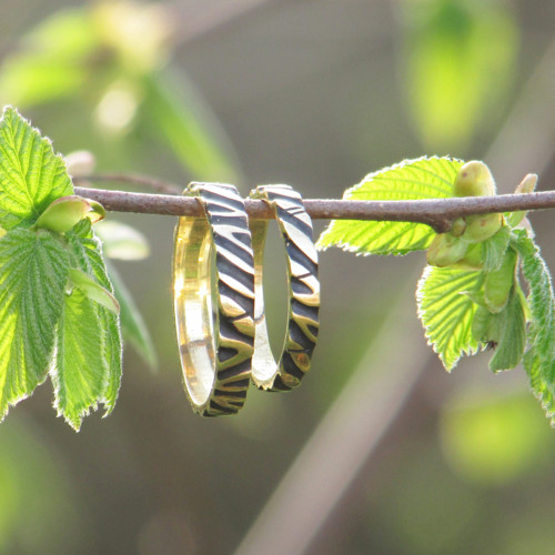 Slunce v lísce - snubní prsteny — foto 3