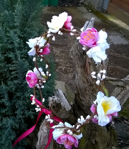 Věneček jarní — foto 3