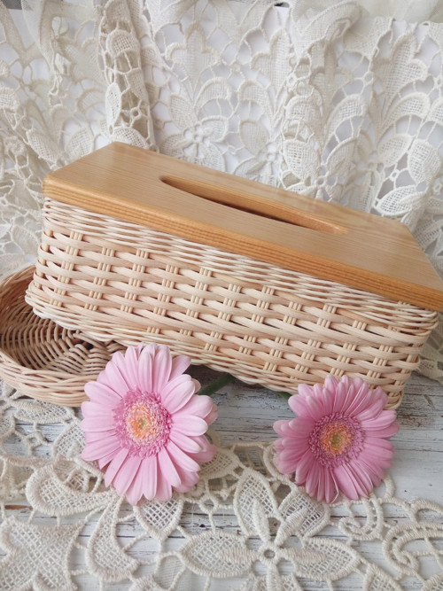 Kapesníkovník — foto 2