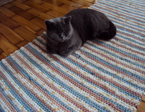 Hnědé a modrozelené pruhy — foto 2