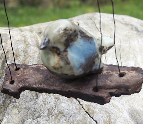 Driftwood a ptáček — foto 2