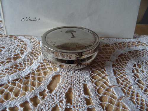 Palma s měsícem — foto 6