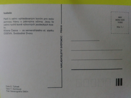 Pohlednice koně — foto 2