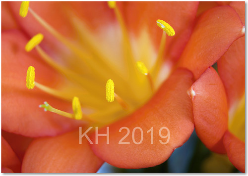 Klívie 2 — foto 2