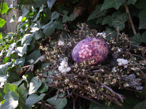 Jarní probuzení — foto 3