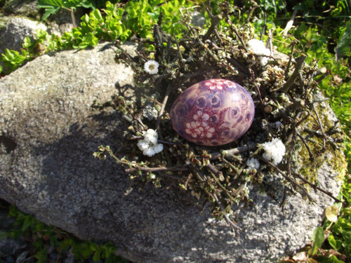 Jarní probuzení — foto 2