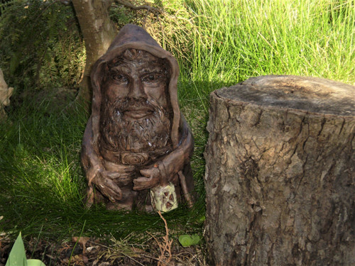 Trpaslík tmavý — foto 2