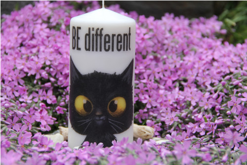 BE different — foto 2