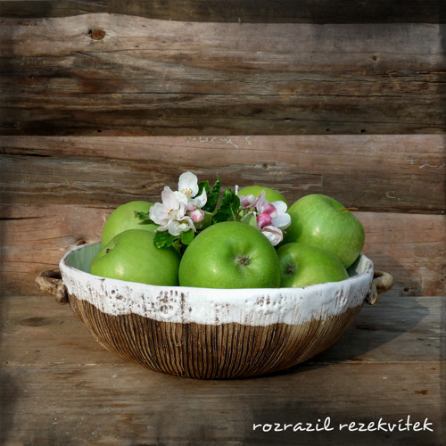 Rustikal - mísa — foto 4