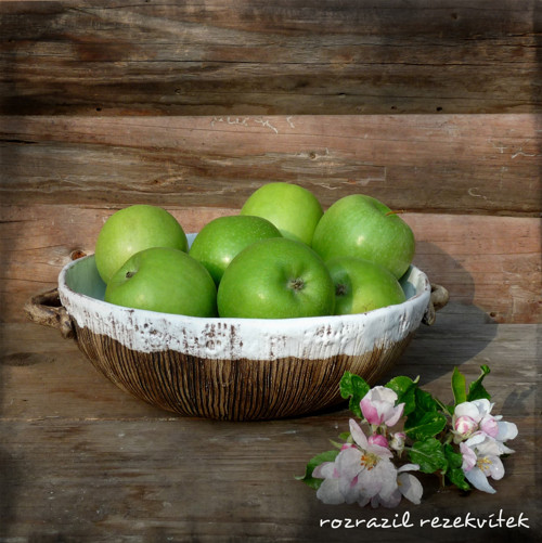 Rustikal - mísa — foto 3