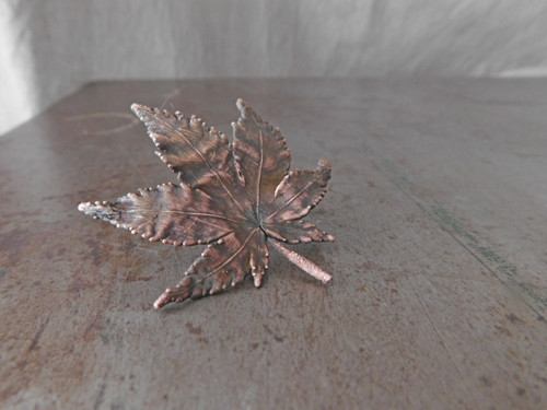 Acer palmatum... — foto 2