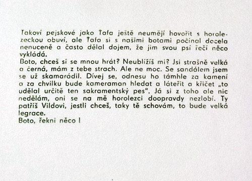 Fotografie — foto 2