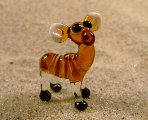 Antilopa kudu samice — foto 2