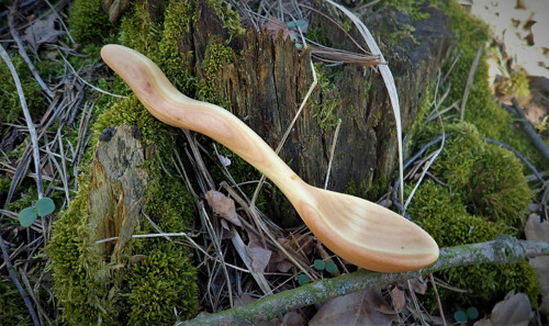 Dřevěná lžička — foto 2
