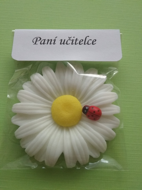 Pro paní učitelku... — foto 2