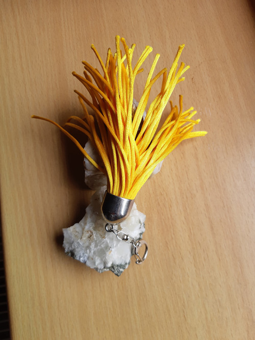 Žlutý Střapec — foto 2