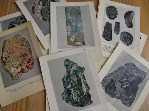 Atlas nerostů — foto 2