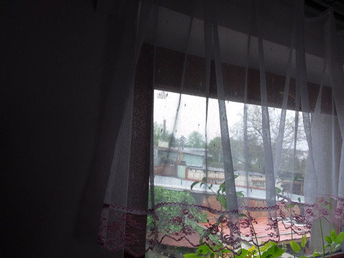 Záclonka s růžovou — foto 2