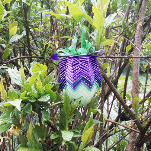 Fialenky — foto 2