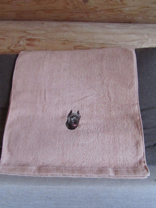 Pes - Cane Corso — foto 2