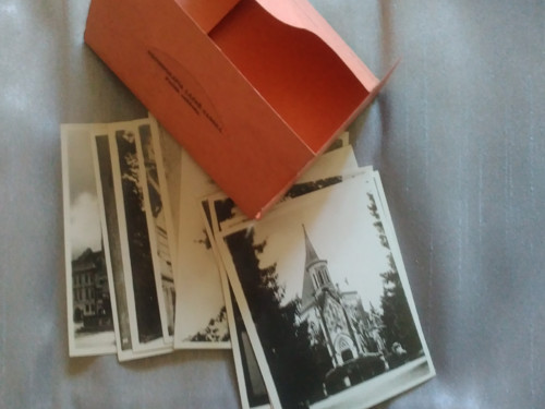 Fotografie - Třeboň — foto 2