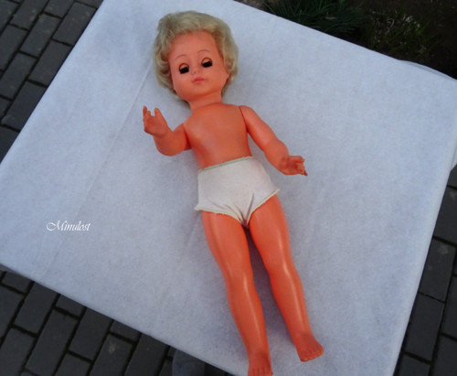 Stella — foto 2